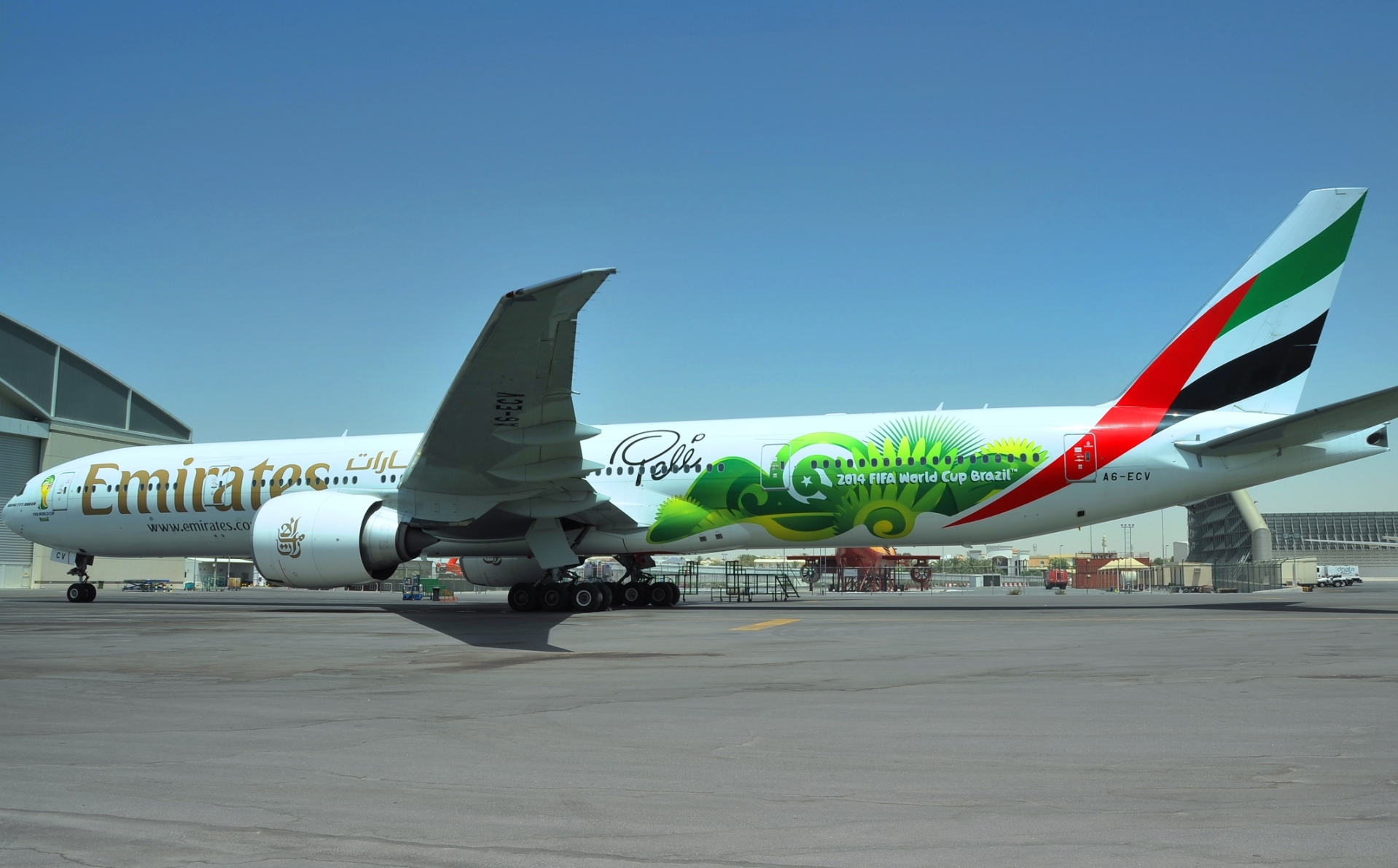 image_2_-_the_first_emirates_pele-ane_with_its_full_livery
